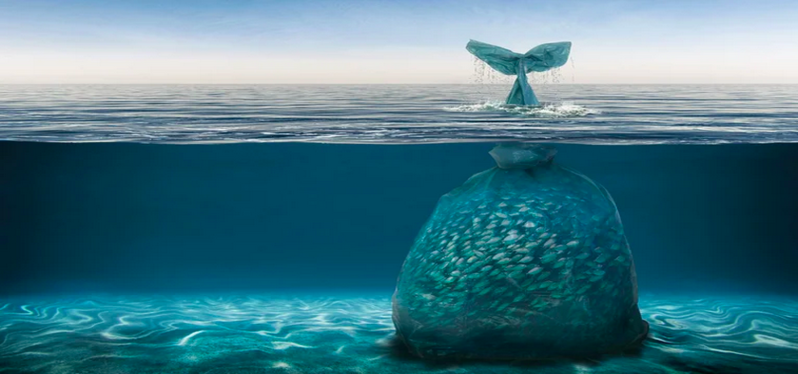 Contaminación en el océano