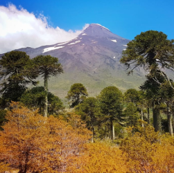 Parque Nacional Villarrica