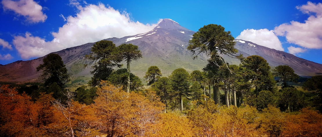 Parque Nacional Villarrica