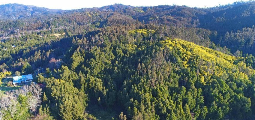 Vista panorámica del Cerro Manquimávida en Chiguayante.