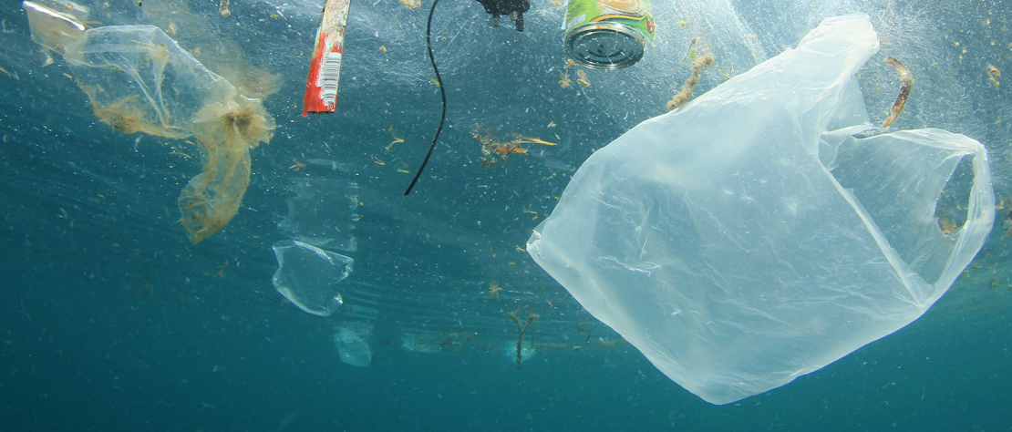 contaminación plástica en los océanos ejemplo