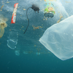 contaminación plástica en los océanos ejemplo